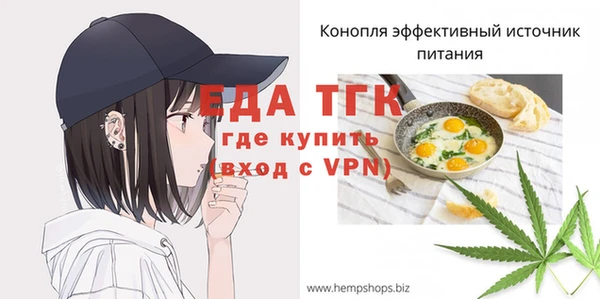 крисы Бородино