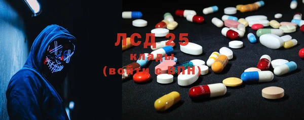 крисы Бородино