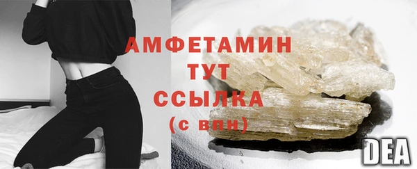крисы Бородино