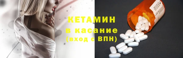 крисы Бородино