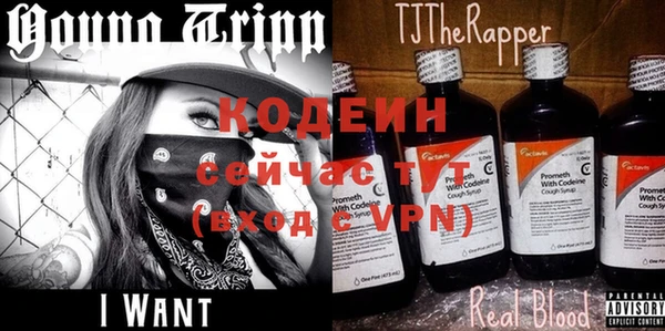 крисы Бородино