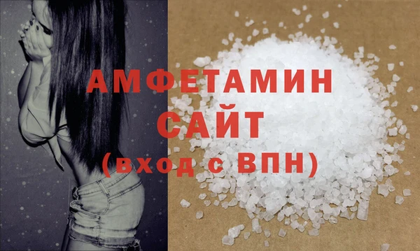 крисы Бородино
