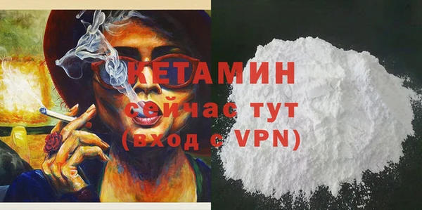 крисы Бородино
