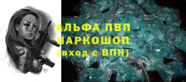 крисы Бородино
