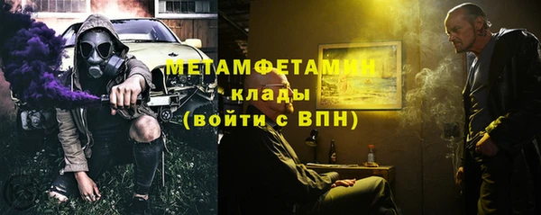 крисы Бородино