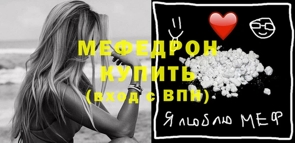 крисы Бородино