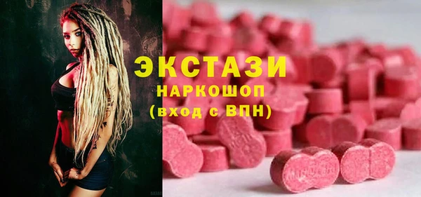 крисы Бородино